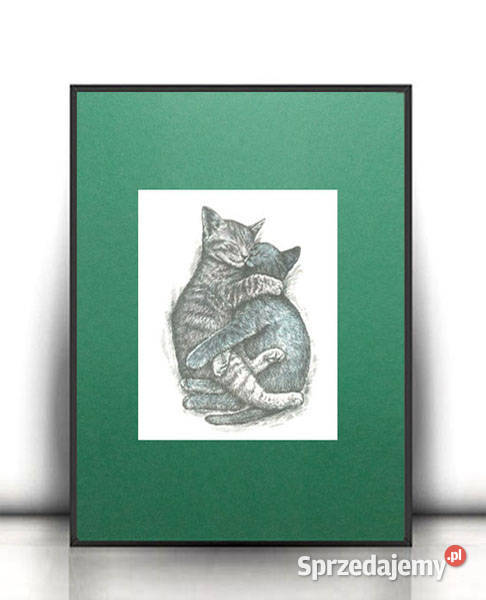 koty plakat a4 plakat z kotami dwa kotki plakat