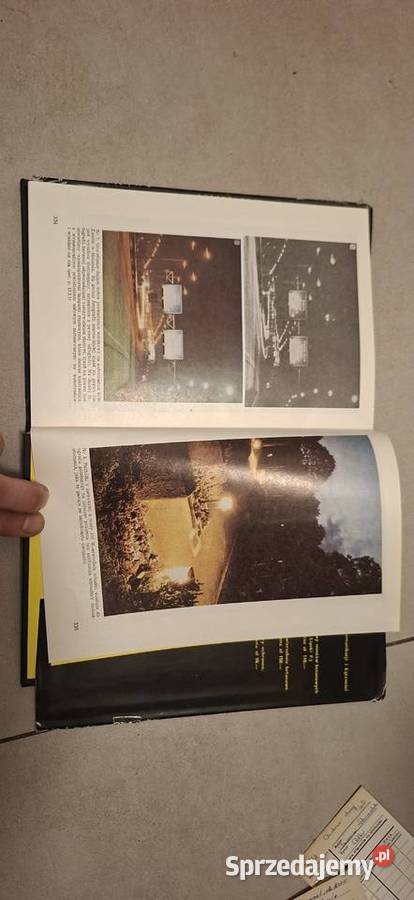 Oświetlenie dróg Antykwariat Łęczyca