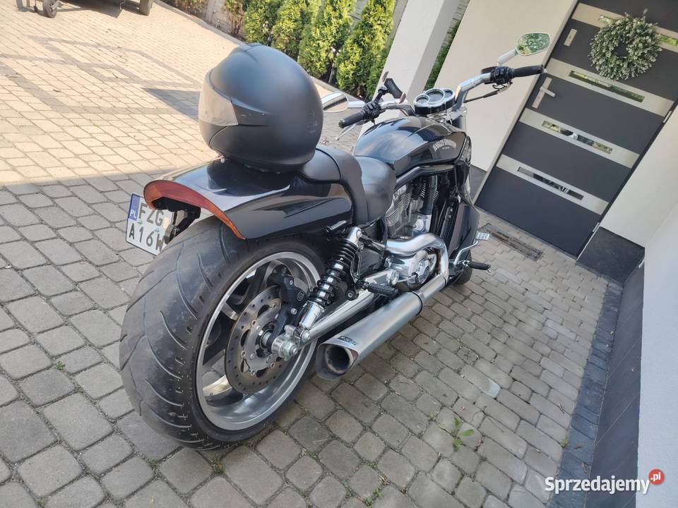 Harley vrod muscle zamiana lubuskie Szprotawa sprzedam
