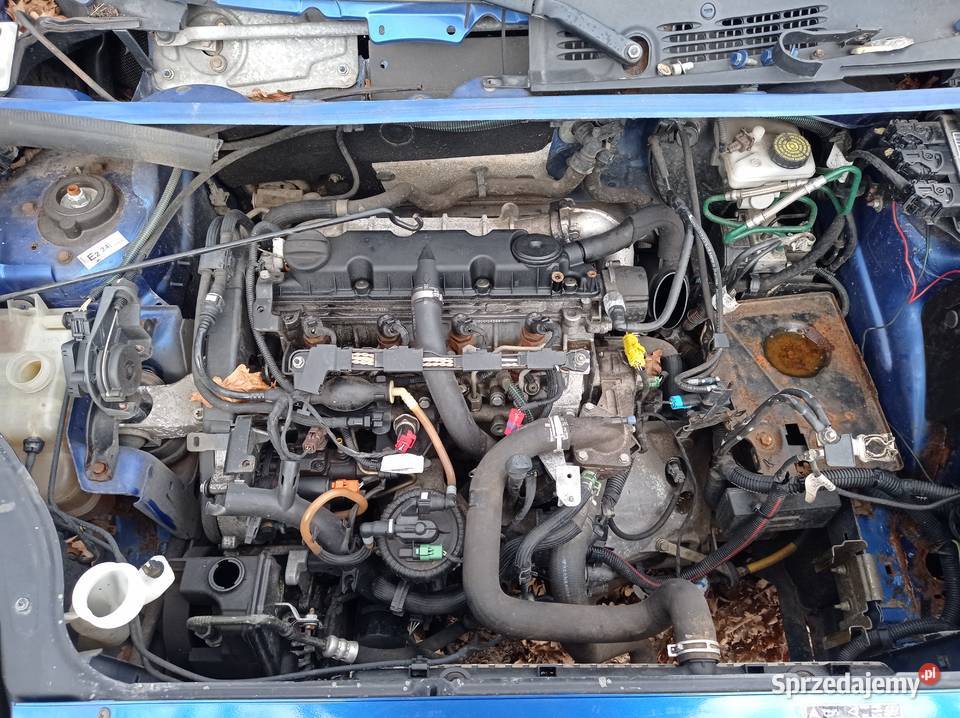 Peugeot Partner 20 66 kW 2004 r dawca części Szklarka Myślniewska