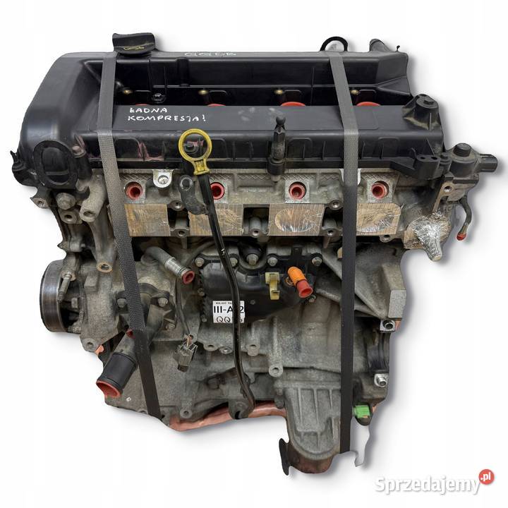 SILNIK QQDB Ford Focus II MK2 C C 18 16V 125 osobowe Motoryzacja Chełm sprzedam