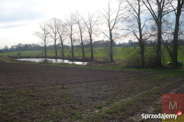 Grunt 73000m2 Tarnówko 73000m2 zachodniopomorskie Tarnówko