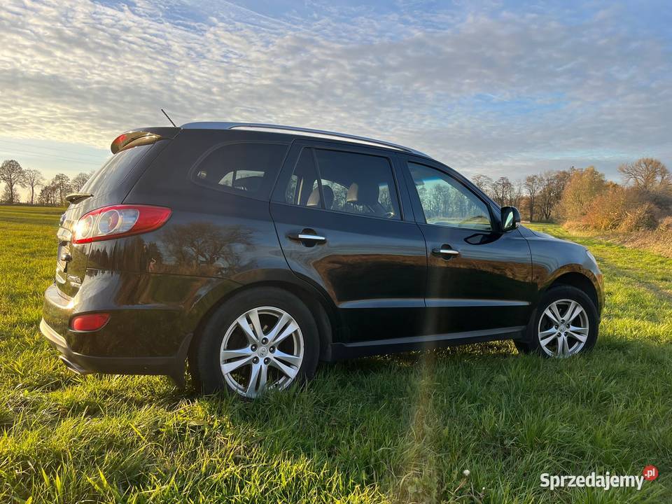 Hyundai Santa Fe II 22 Sprzedam CRDi 197 4x4 nieuszkodzony Santa Fe Płock