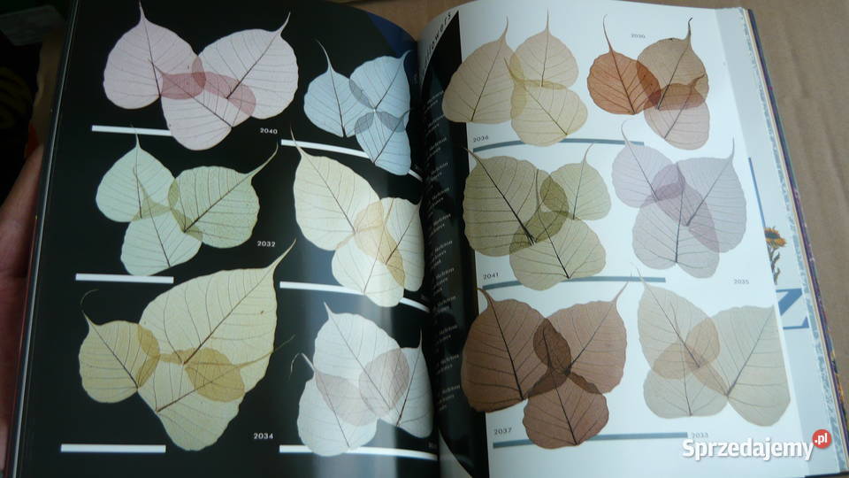 Album z suszonymi roślinami i bukietami Sokółka