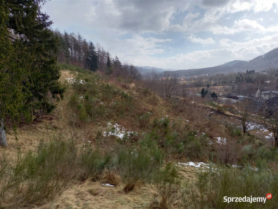 sprzedaży działki JedlinaZdrój asfalt Jedlina-Zdrój