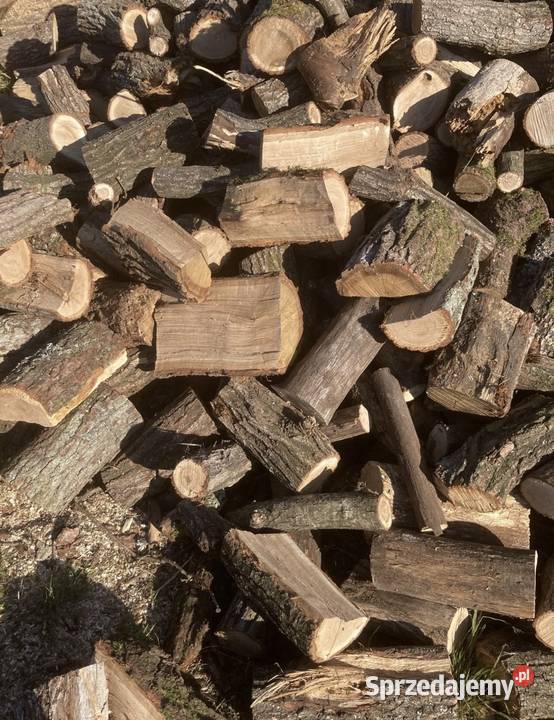 Drewno opałowe Dęb Brzoza Stara Błotnica