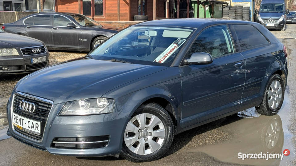 Audi A3 3drzwiowe 16TDi105OPŁACONYBezwypadkowy Samochody osobowe Częstochowa