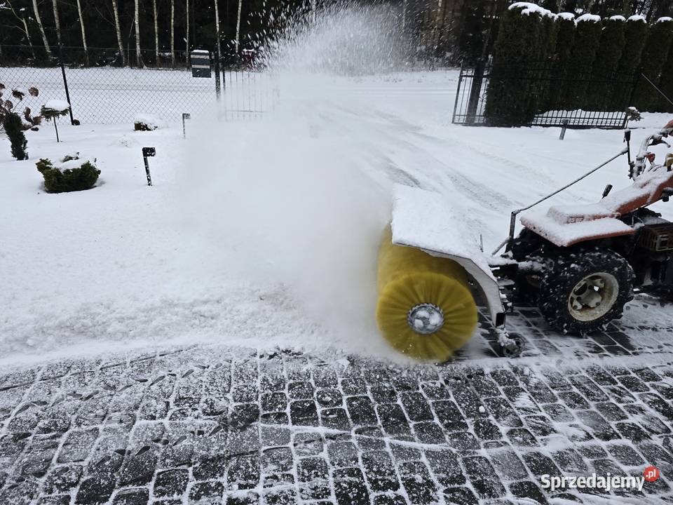 Zamiatarka szczotka spalinowa Goldoni Dzik Wąbrzeźno sprzedam