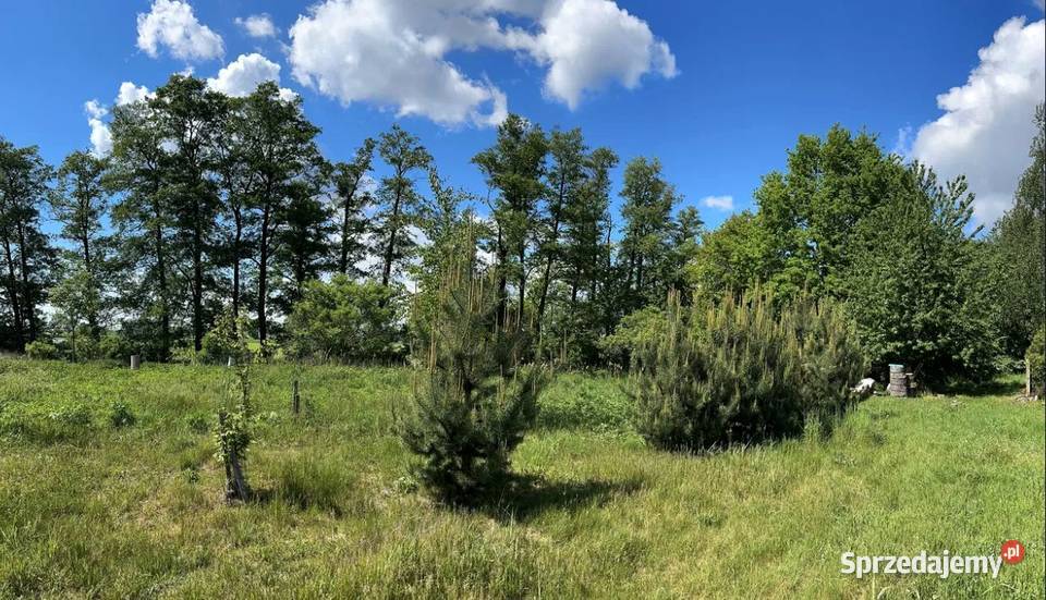 Działka budowlana RATY opolskie Gorzów Śląski sprzedam