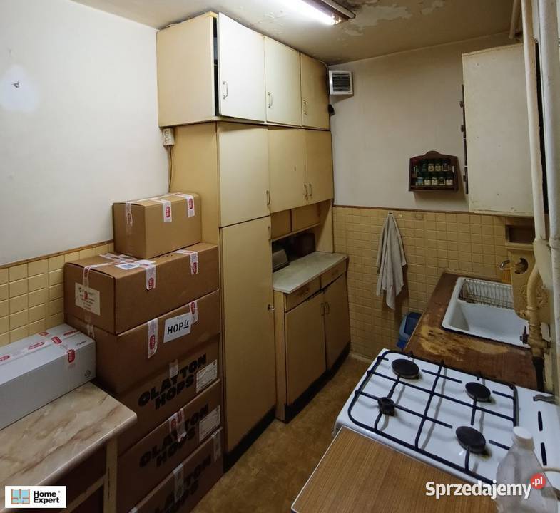 2pok 37met Ogrodu Botanicznego WINDA ZARAZ Wrocław