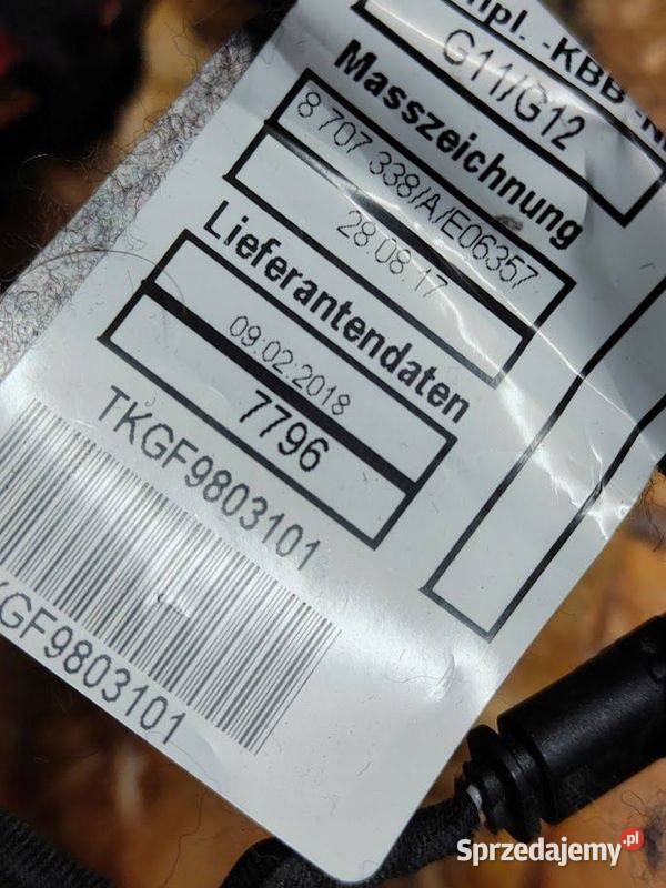 Wiązka Instalacja Drzwi Lewy Przód BMW 7 G11 G12 wielkopolskie Pleszew