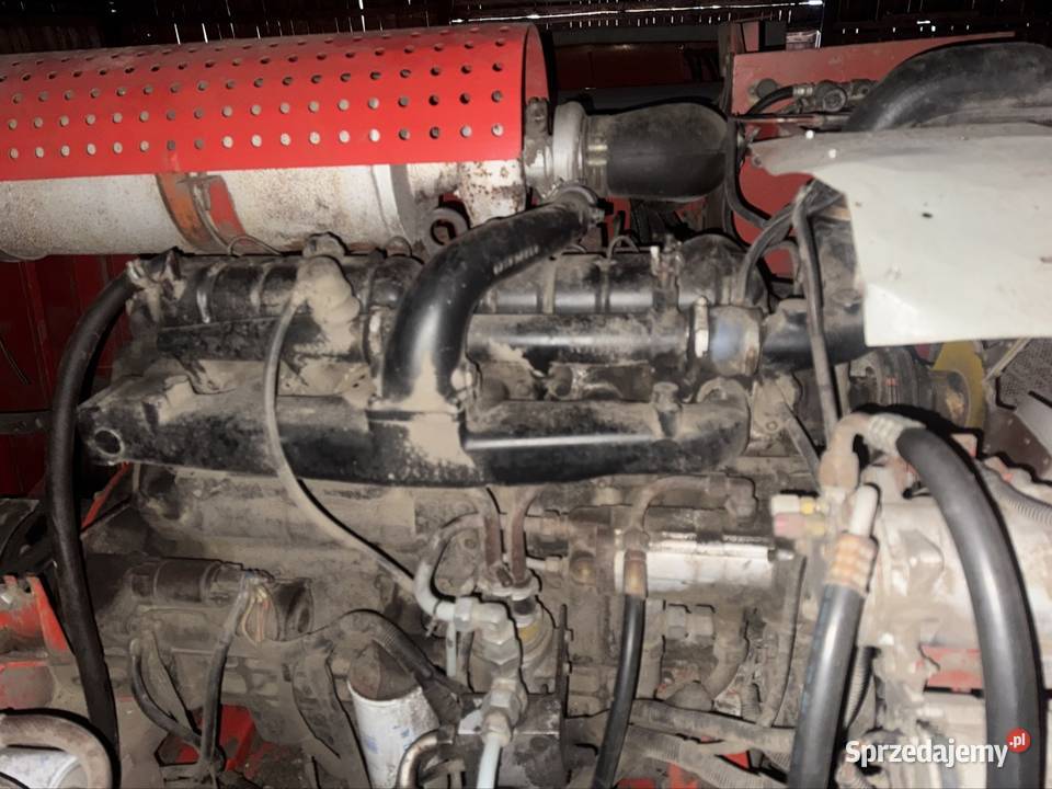 Masowy ferguson 34 Piotrków Pierwszy