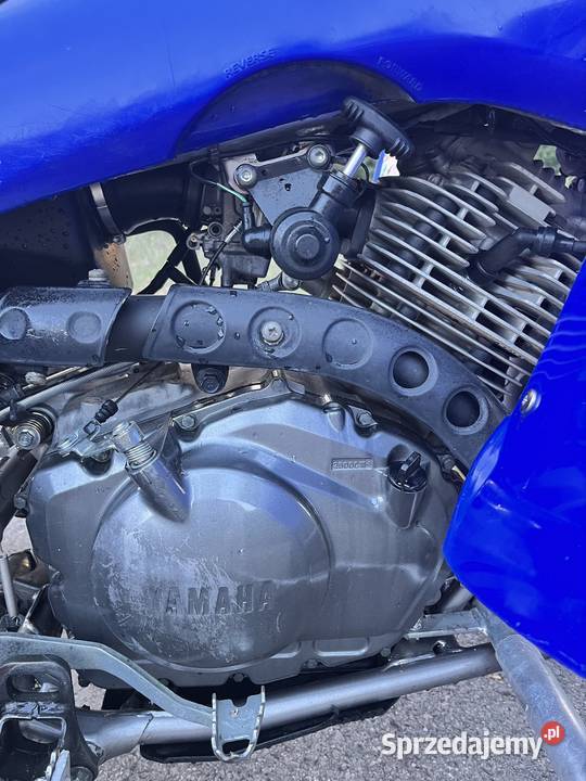 Yamaha raptor 350