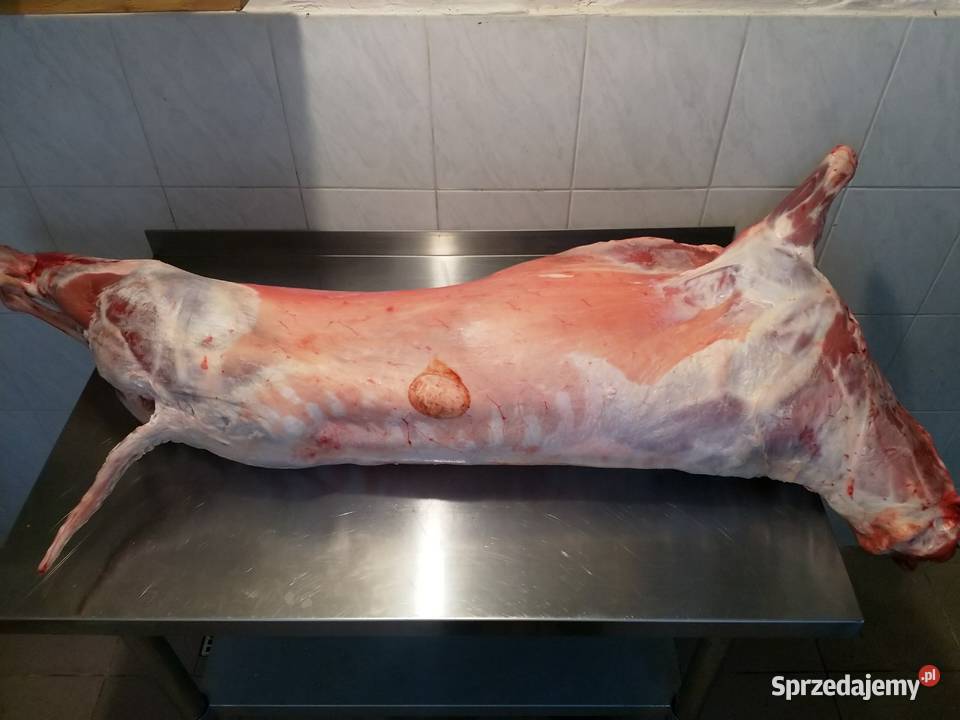 Jagnięcina świeża Mięso surowe Czernichów