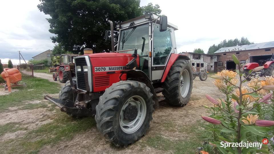Sprzedam MF 3070 Massey Ferguson Zaklików