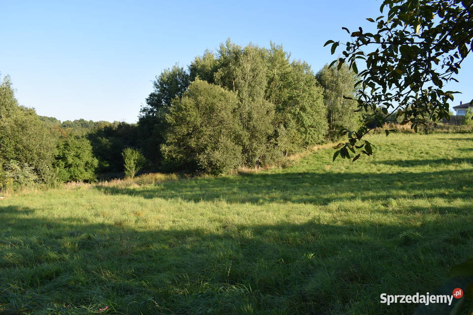 Działka do wydzielenia 10a Tyczyn