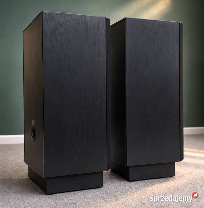 Kolumny Alton 110 Tonsil Oryginalne 100 sprawne kujawsko-pomorskie Toruń