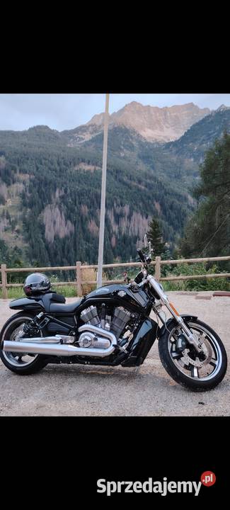 Harley davidson vrod muscle 18000km Szprotawa