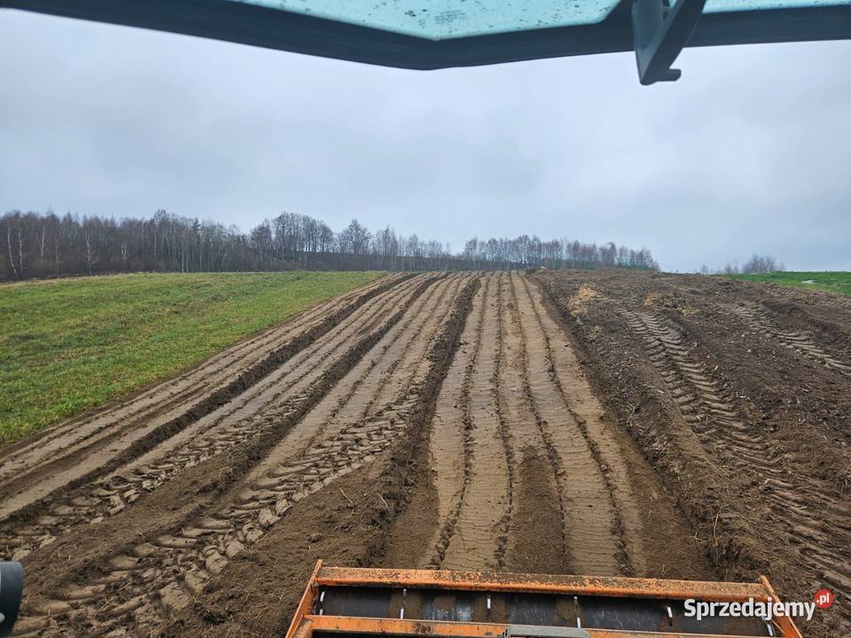 MulczowanieWgłębne Powierzchniowe Wycinka drzew Karczowanie i usuwanie drzew