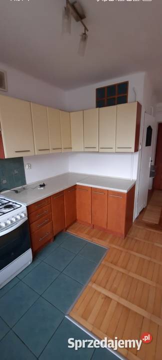 KAWALERKA do wynajęcia