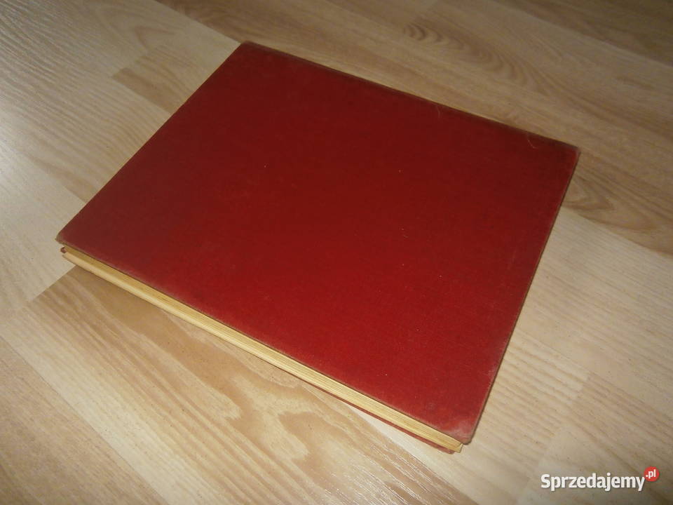 Lustige Bildergeschichten und allerlei Humore Rok wydania 1911 łódzkie Łódź sprzedam