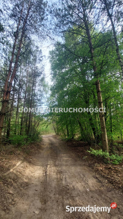 Sprzedam działka Grzmiąca 3511m2 handlowo-usługowa