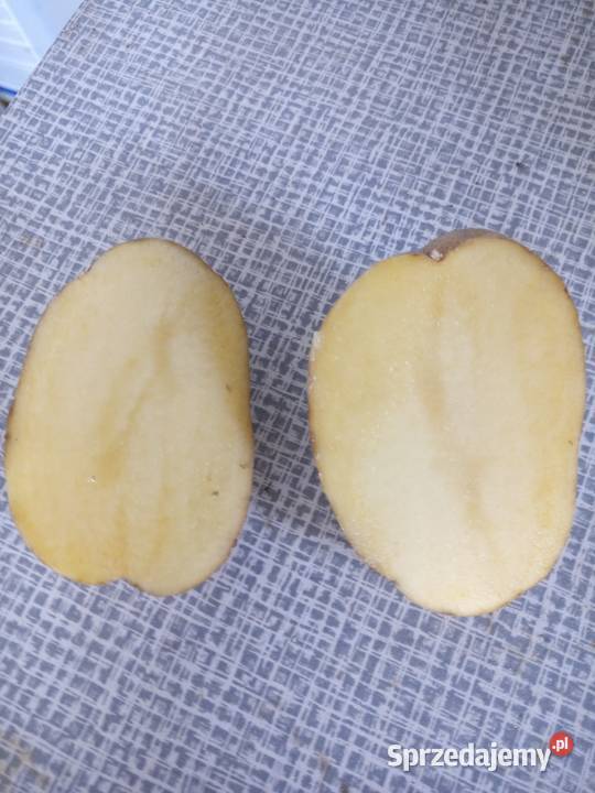 Ziemniaki kartofle Białopole