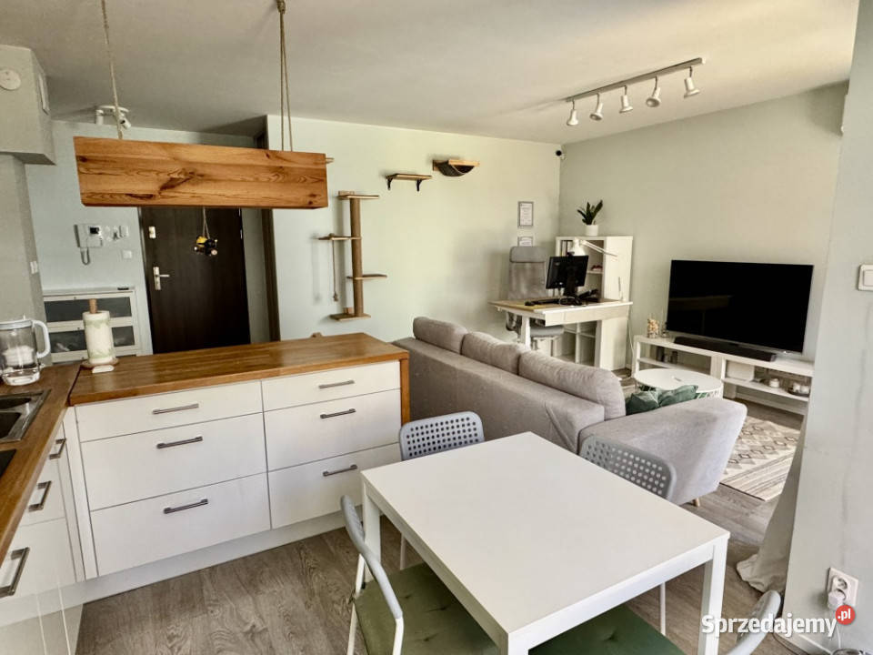 Wrocław Lokum di Trevi 2 pokoje 502 m taras 40 m 50m2