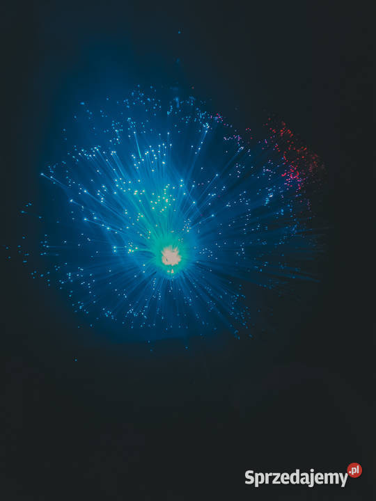 Lampka diodowa neonowa Ledowa zmieniająca kolor Reda sprzedam