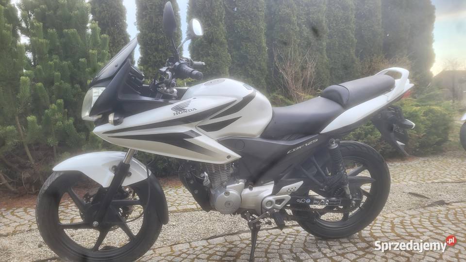 Cadillac1962wp Rok produkcji 2011 Gniezno