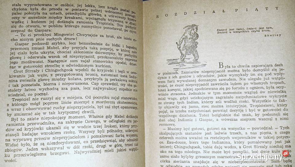 Tropiciel Śladów James Fenimore Cooper lubelskie Chełm sprzedam