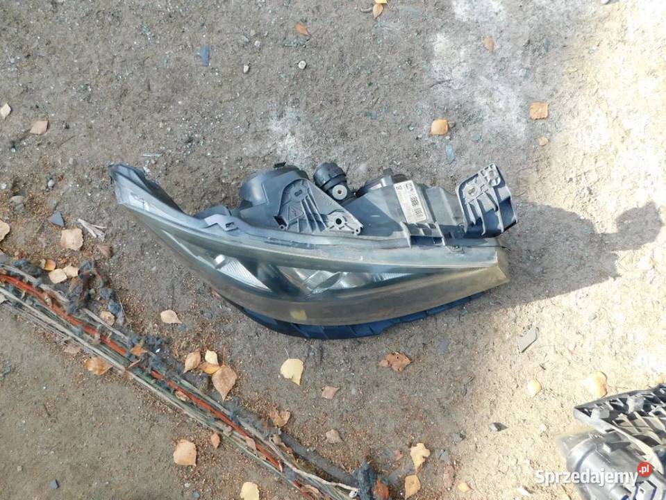laguna II FL xenon lampa prawa WYSYŁKA osobowe Żory