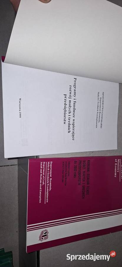 Unikat Raport Gospodarczy 1999 Transformacja MŚP Poznań sprzedam