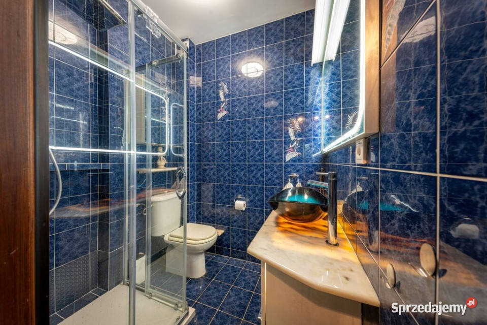 Rezydencja z kompleksem SPA i basenem Kanie