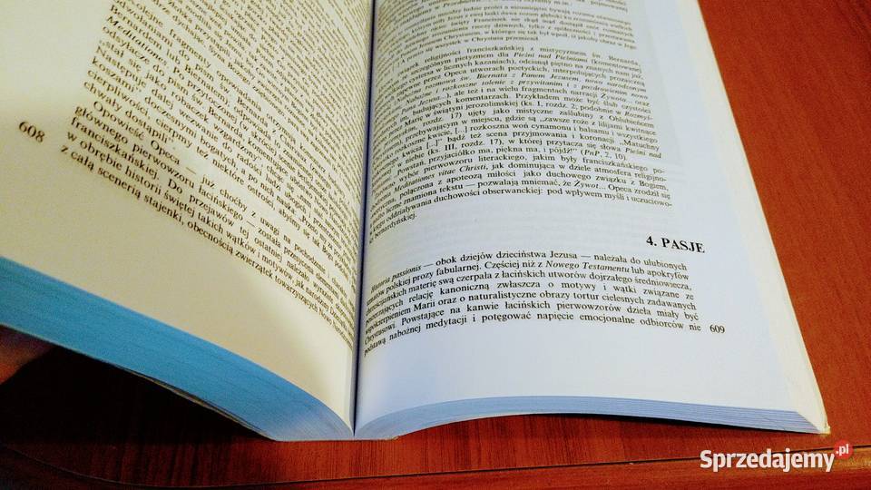 Średniowiecze Teresa Michałowska Wielka Historia Książki naukowe i popularnonaukowe Gdańsk