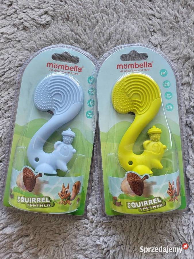 Mombella gryzak squirrel Częstochowa