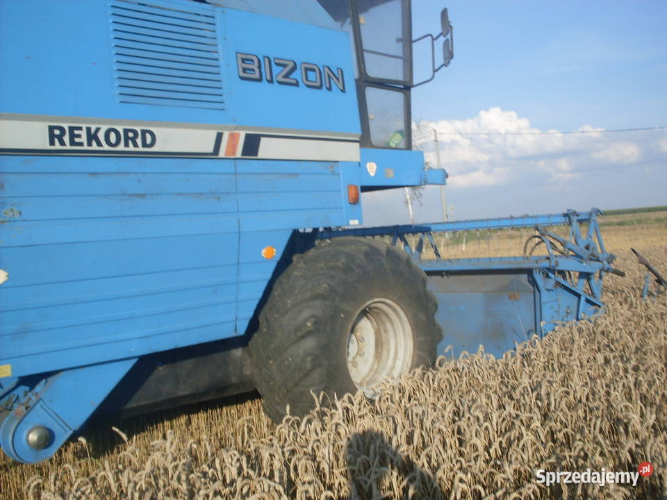 kombajn bizon rekord zo58 wielkopolskie