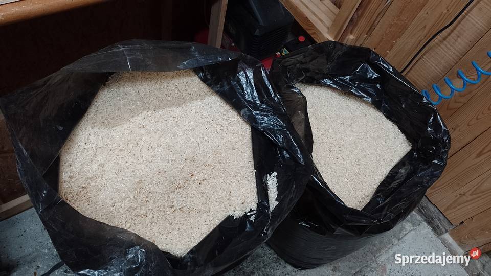 Trociny 120L suche bez pyłu z drewna suszarni sprzedam