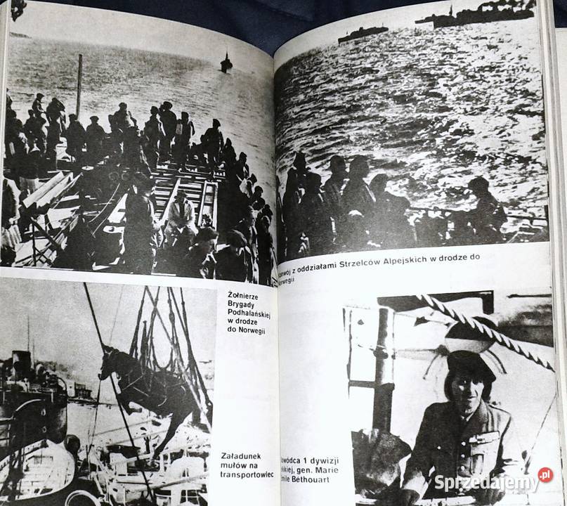 Narwik 1940 Janusz Odziemkowski Chełm