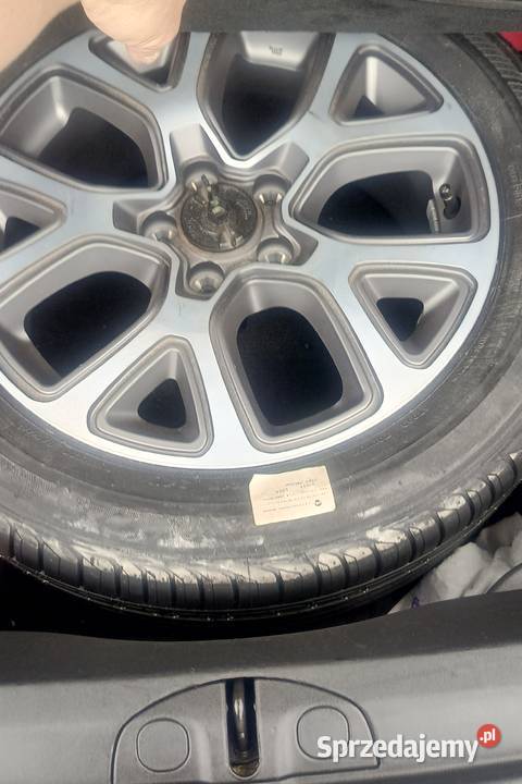 Fiat 500 x Zalasewo