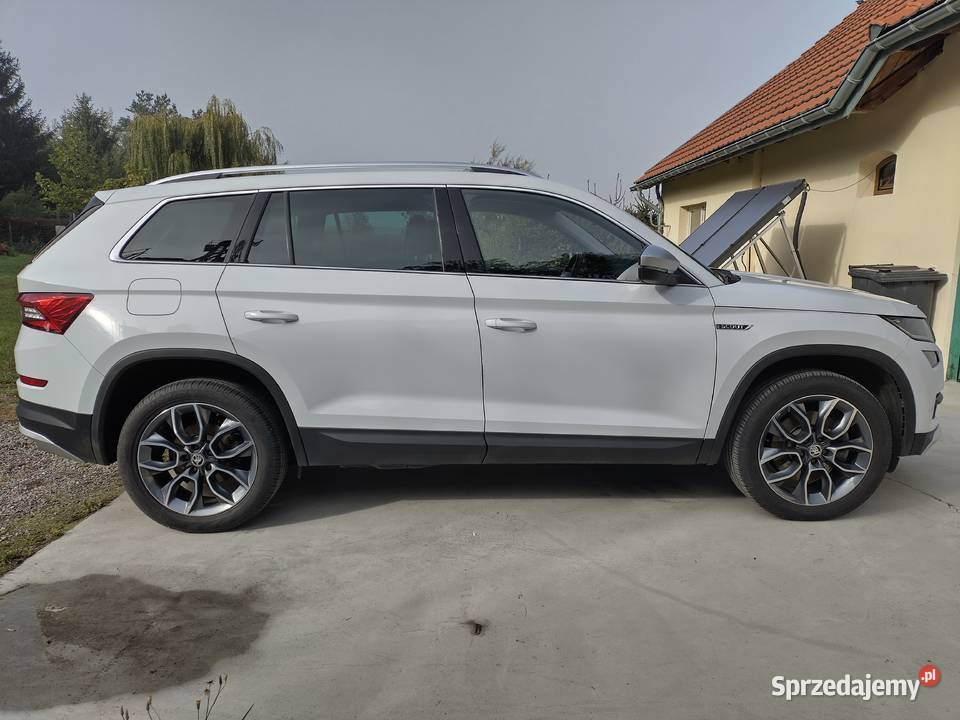 Kodiaq Scout 20 TDI 190 4x4 DSG 7 Kodiaq