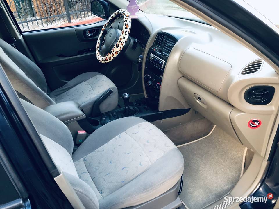 Hyundai Santa Fe 20 16v 136 BLPG 136KM Santa Fe podkarpackie Przeworsk