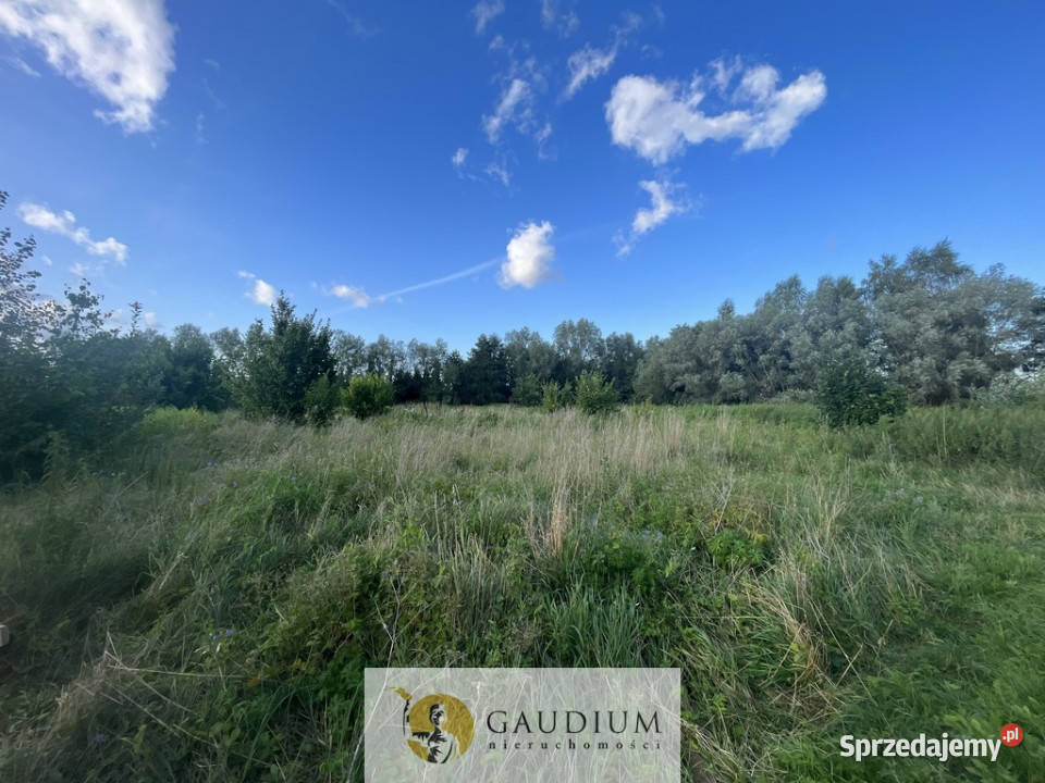 Działka na Żuławach I trasy S7 I 2500 m2 Nieruchomości pomorskie Kiezmark