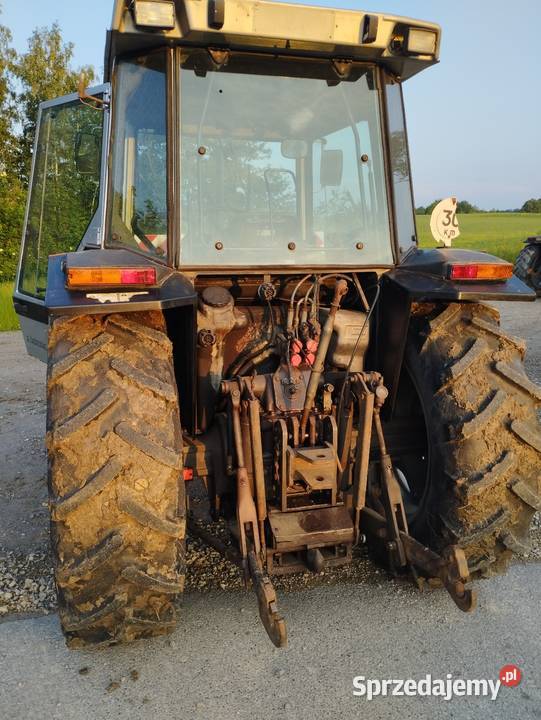Massey Ferguson 3090 klima Massey Ferguson Felinów