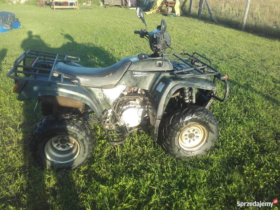 quad lifan250 Lifan Zwartówko