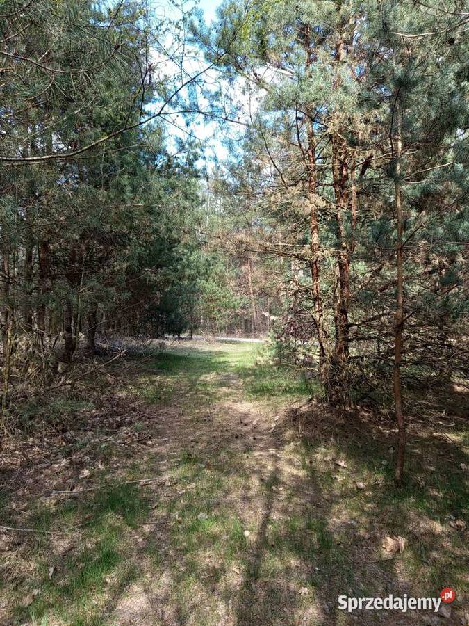 Sprzedam działkę rolną lesie 3900 m2 Talczyn