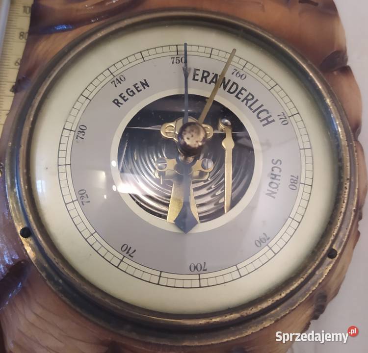 Barometr z termometrem w drzewie Gdańsk