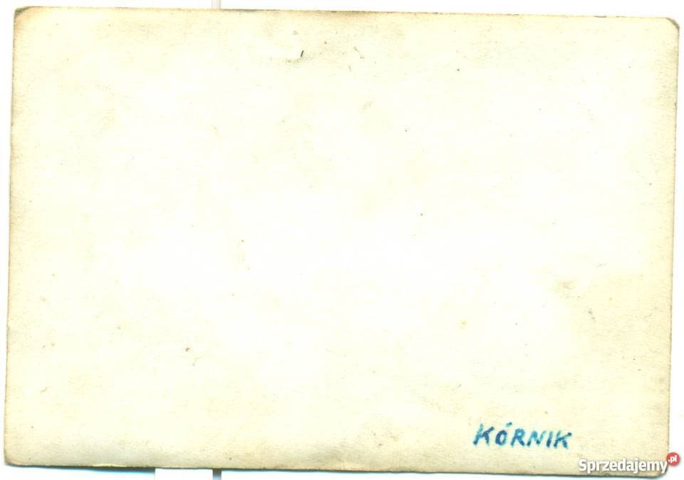 Zdjęcie Fotografia Skoda Octavia Kurnik Ostrów Wielkopolski