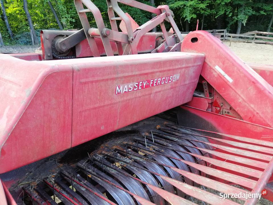 prasa Massey Ferguson Kobyle sprzedam