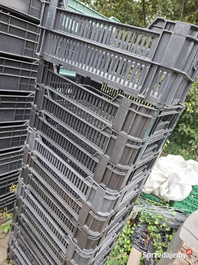 Skrzynki plastikowe owoce warzywa